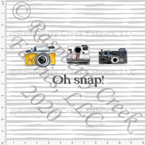 Mustard Black and Grey Watercolor Vintage Camera Oh Snap Panel on Grey Stripes, Travel by Brittney Laidlaw for Club Fabrics Fabric, Raspberry Creek Fabrics, watermarked