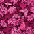 Hydrangea in the garden with butterflies, pink monochrome. Image