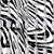 Zebra Stripe Spoonie Spoons Image