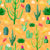 cactus, orange, bright, desert, flowers,  plants, nature, Arizona, California, Mexico, summer Image