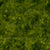 Dark Moss Green Maidenhair Sunprint Texture / Sunprints Collection Image