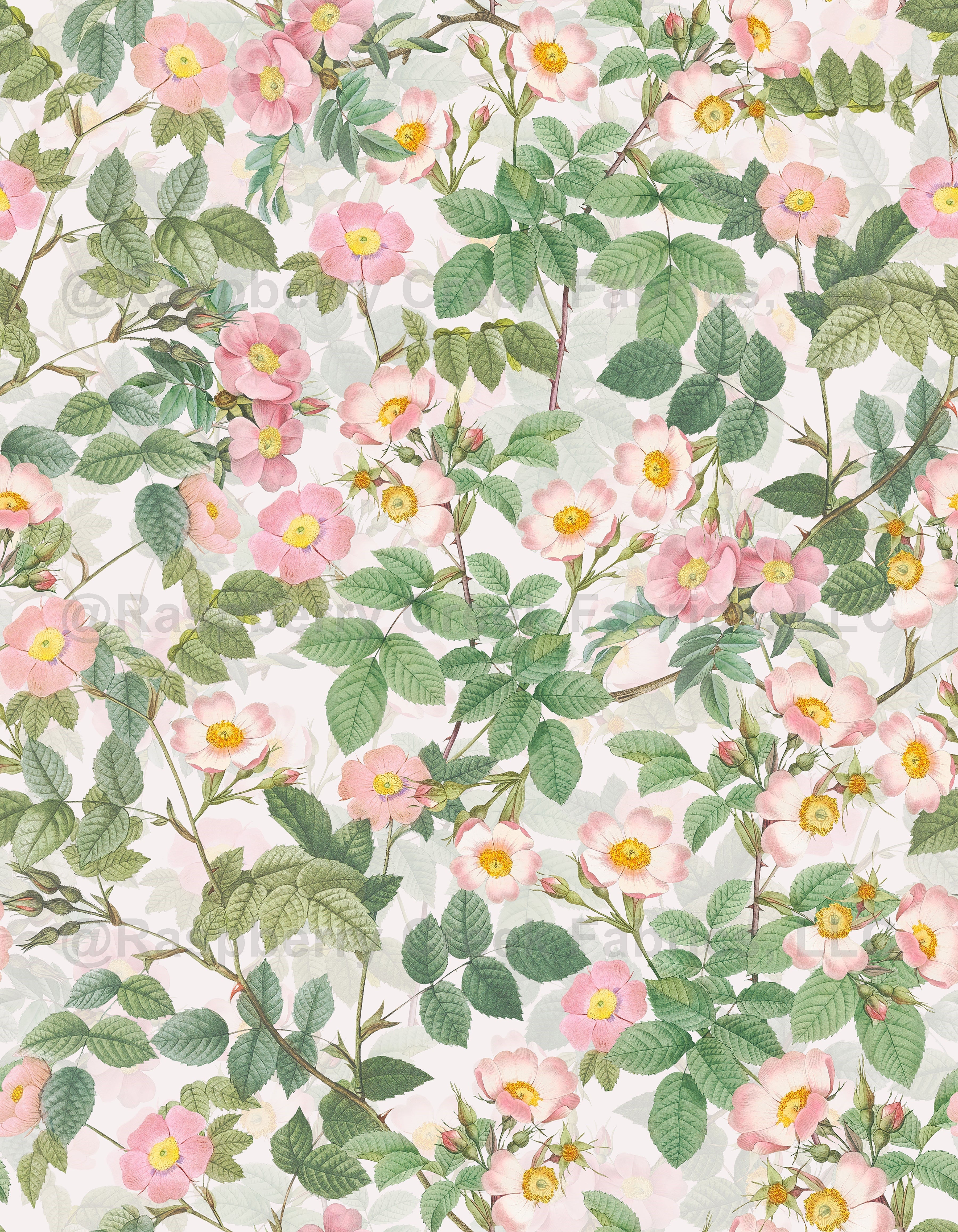 Antique Blush Redouté Dog Roses 1 Wallpaper, Raspberry Creek Fabrics, watermarked