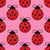 Red Ladybug Pickleballs on Pink Polkadots Image