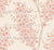 Neutral-Cherry blossoms 1-Wallpaper Image