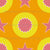 summer stars marigold (California) Image