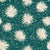 White chrysanthemum flowers on a teal green background Image