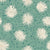 White chrysanthemum flowers on a turquoise green background Image