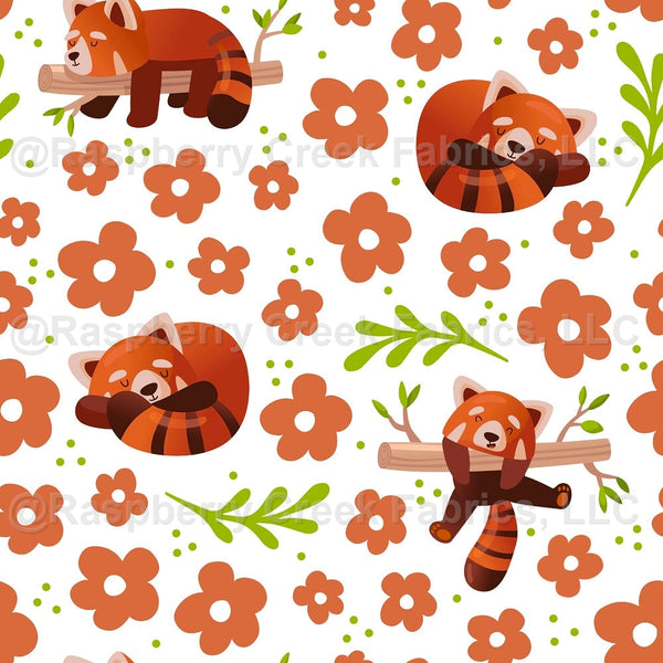 Sleepy Red Pandas - Raspberry Creek Fabrics