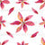 Pink and Red Poinsettias on White Image