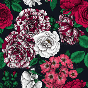 Red, white and bi-color roses with green leaves on black - Raspberry ...