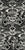 Tribal boho protea wilderness damask mud cloth - bone white on black Image